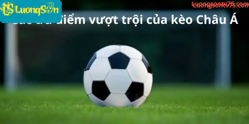 Các ưu điểm vượt trội của kèo Châu Á Các ưu điểm vượt trội của kèo Châu Á