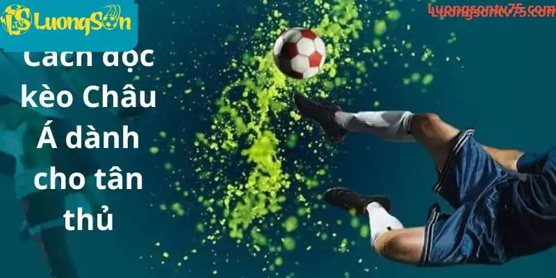 Cách đọc kèo Châu Á dành cho tân thủ Cách đọc kèo Châu Á dành cho tân thủ