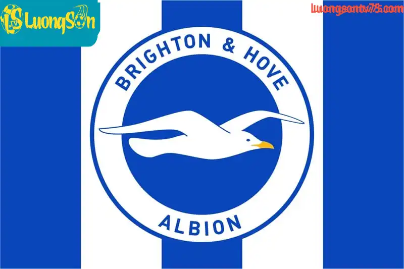 Biểu tượng của logo đội bóng Brighton là chú Chim mòng biển Biểu tượng của logo đội bóng Brighton & Hove Albion là chú Chim mòng biển